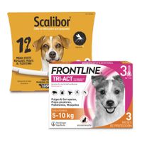 pack de antiparasitarios collar scalibor  pipetas frontline para perros - collar 48 cm  pipetas 5-10 kg