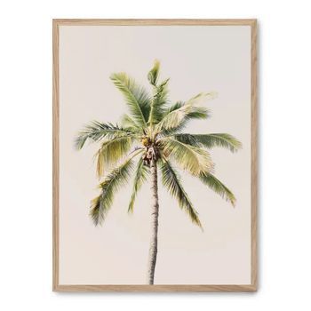 Cuadro Palm Tree And Sky Ii