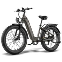 eu direct fafrees f26 rover bicicleta electrica 48v 20ah bateria motor 250w velocidad maxima 25kmh neumaticos 2640