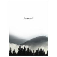 legendarte - cuadro lienzo impresion digital - bosque de paz - decoracion pared cm 50x70