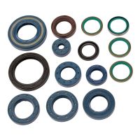 kit reten motor ducati monster 900 centauro