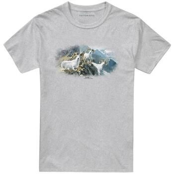 Wildlife Camiseta High Trails Dall para mujer