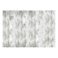 papel pintado 3d - sense of style 300x210 cm
