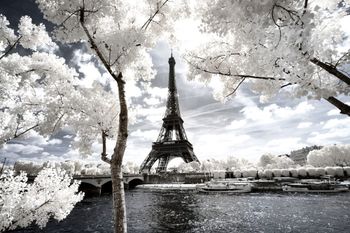Cuadro parís torre eiffel blanca impresión sobre lienzo 90x60cm