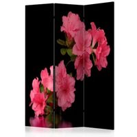 biombo - azalea in black 135x172 cm