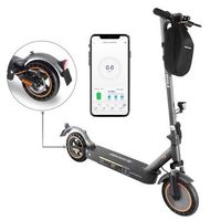 patinete electrico honey whale e9 max con neumaticos abe de 10 bateria de 500 w 36 v 10 ah freno mecanico y aplicacion inteligente