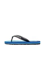 de quiksilver - chanclas es para hombre - molokai art azul