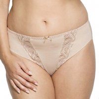 carmen brief