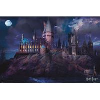 erik maxi poster harry potter hogwarts 915x61cm