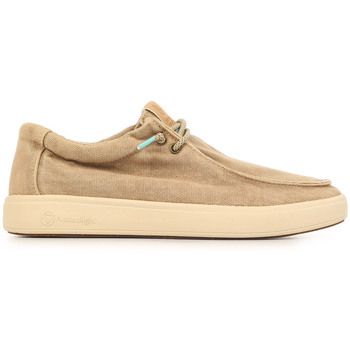 Natural World Zapatos Arco Wallabi para hombre