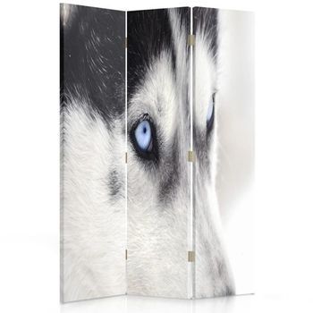 Biombo Wolf - Separador De Ambientes Cm. 110x150 (3 Paneles)