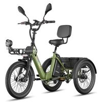 bicicleta electrica fafrees f20 mate ii - motor 250w bateria 48v21ah 20 pulgada neumaticos freno de disco hidraulico - verde militar