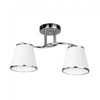 plafon de techo lantanas 2 luces