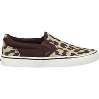 soulcal zapatos gt25969 para mujer
