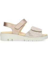 de dcutillas doctor cutillas 36104 tormo oro