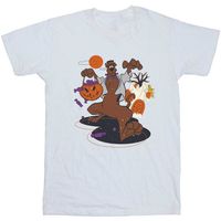 dessins animes camiseta bi56723 para nino