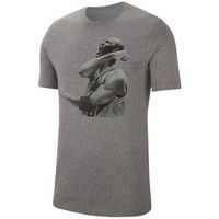nike camiseta air jordan photo para hombre