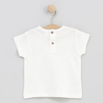 cotton fish Tops y Camisetas 90634 para niño