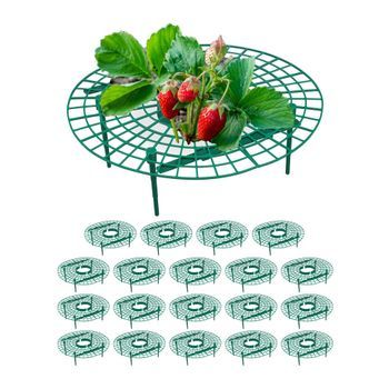 Cortador Para Fresas, 20 Uds Verde
