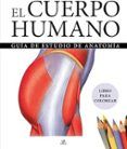 El Cuerpo Humano