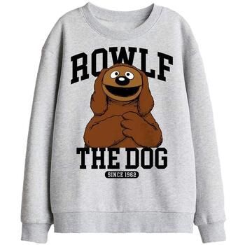 The Muppets Jersey TV36521 para niña