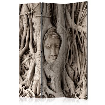 Biombo - Buddha's Tree (135x172 Cm)