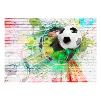 papel pintado 3d - colourful sport 250x175 cm