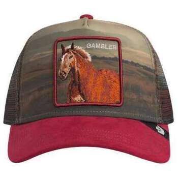 Goorin Bros Gorra Cappellino Uomo Stallion In The Element Crush para mujer