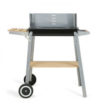 Barbacoa De Carbon Doc244