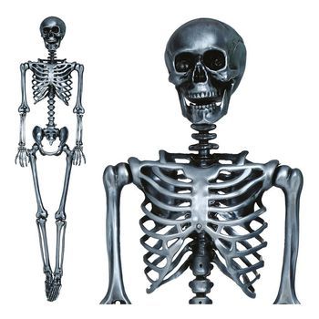 Esqueleto Plata 160 Cm