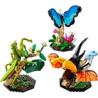 21342 la coleccion de insectos