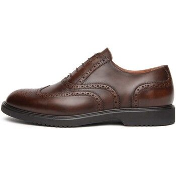 NeroGiardini Zapatos Bajos Delavato Pu.Gubbio L18325 T.D para hombre