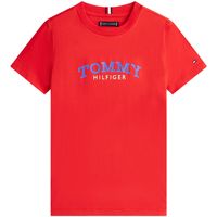 tommy hilfiger tops y camisetas gt61982 para nino