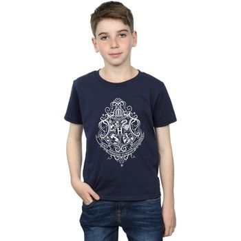 Harry Potter Tops y Camisetas Hogwarts Draco Dormiens para niño
