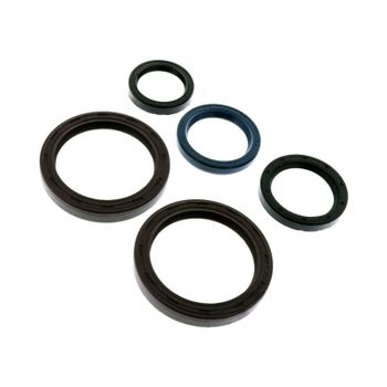 Kit retén motor Moto Guzzi California 11000 i.e. '06-