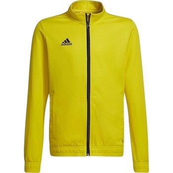 adidas Chaqueta deporte ENT22 para hombre