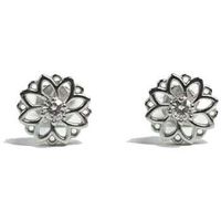 bibei pendientes bipe063 para mujer