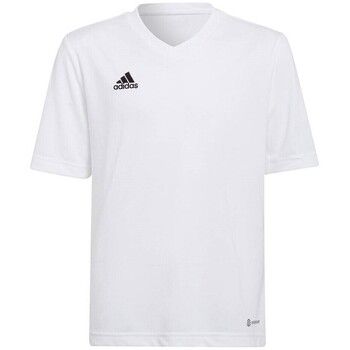 adidas Camiseta Entrada 22 Jsy para niño