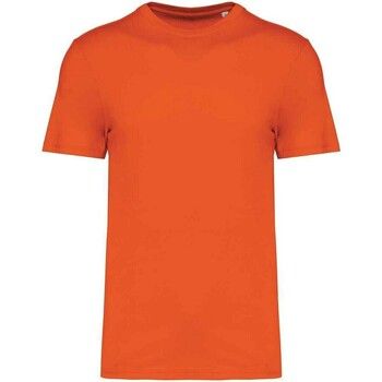 Native Spirit Camiseta NS300 para hombre