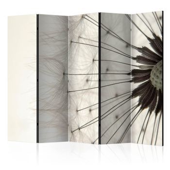 Biombo - Dandelion Seed Head Ii [room Dividers]