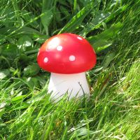 toadstool night light led
