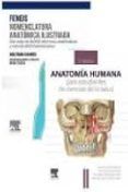 pack feneis nomenclatura ilustrada  suarez anatomia para estudia ntes