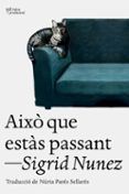 aixo que estas passant