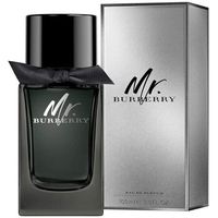 burberry perfume mr - eau de parfum - 100ml para hombre
