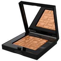 bobbi brown highlighting powder chestnut glow 9g