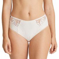 Orlando Full Briefs