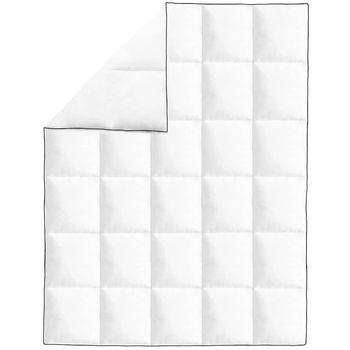Edredón | Duvet De Plumón De Invierno 2 Piezas 150x200 Cm