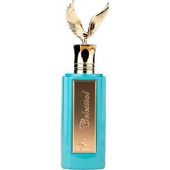 Paris Corner Perfume Emir Perfume Extract - Celestial para hombre