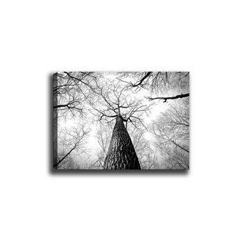 Pintura Decorativa Lienzo Canvas Tablo-112 Multicolor 70x100 Cm