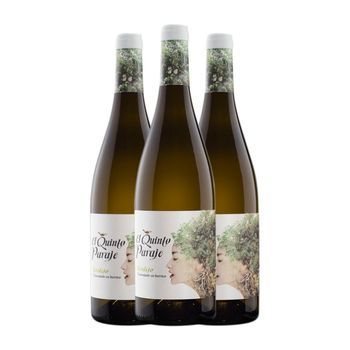 Rodríguez & Sanzo Vino Blanco El Quinto Paraje Rueda Crianza 75 Cl 14% Vol. (pack De 3 Unidades)